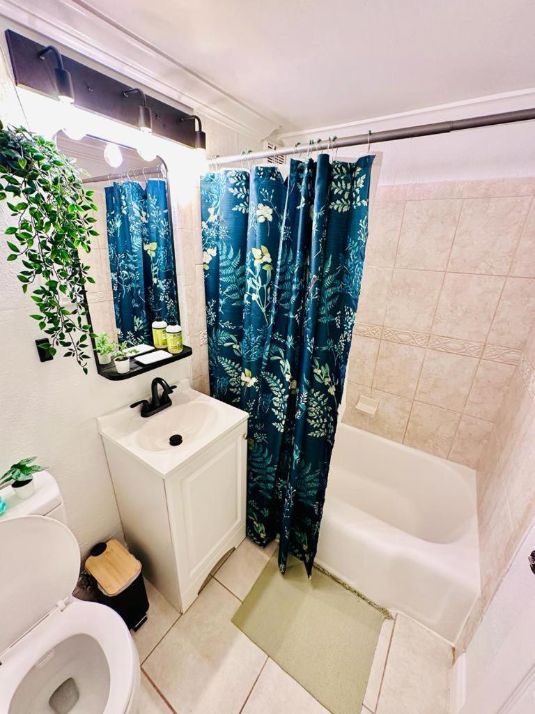 Apartment Charming Jax For 4 With Free Parking Jacksonville